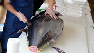 Amazing Giant Bluefin Tuna Cutting Videos - How to Giant Bluefin Tuna Cutting for Samishi