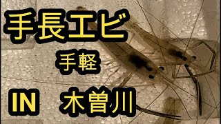 手長エビ  手軽！　簡単に誰でも釣れる！！　IN　木曽川