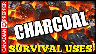 Making Charcoal for Survival and Prepping