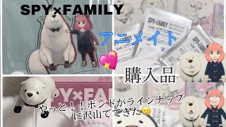 SPY×FAMILY 購入品 開封動画 アニメイト 神引き🥲💖