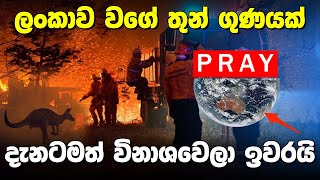 ඔස්ට්‍රේලියාවට සිදුවුණු දේ ..? | Australia Fire  |