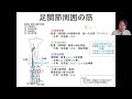 ㉛足関節 足部周囲の筋をマスター！深腓骨神経支配＝背屈筋