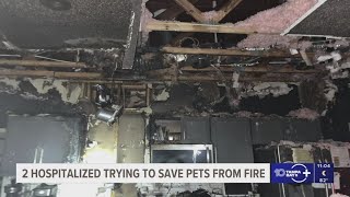 HCFR: Spring Hill house fire leaves 2 dogs dead, 2 people hospitalized