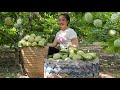 Harvest a bountiful garden to go to the market to sell & take care of pets