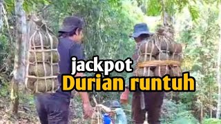 perjuangan ambil duren dihutan