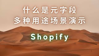 Shopify Metafields 是什么？有什么用？多种用途演示让你了解元字段 打造个性化电商店铺