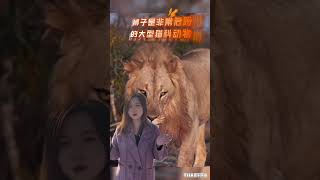 这些动物脚印，一定告诉孩子看到了要远离！#科普一下 #儿童安全# 安全教育