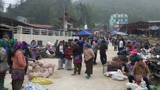 CHỢ LÙNG PHÌNH (lào cai) NGUYÊN SƠ MỘC MẠC | Ẩm Thực Lợn Bản, Dược Liệu Qúy Hiếm ÍT Người Biết Đến