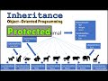How Access Modifiers Work with Inheritance in Object Oriented Programming | Protected Access