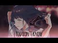 Nightcore - You Don't Know (lyrics)