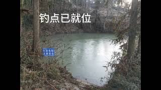 #钓鱼的乐趣只有钓鱼人懂 #原来钓鱼才是抖音运动顶流