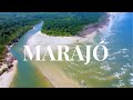 Marajó Island | Where the Amazon River meets the Sea