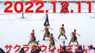 東京ギバチ 20221211 サクラタウンよさこい2022〜師走祭〜　第二部