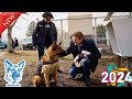 Hudson & Rex [2024] 🐕‍🦺 Full Season. Ep | New Today | Best American Police Procedural Drama 🐕‍🦺 #A79