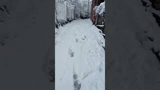 ❄️🥶🥶 en direct de la kabylie (ait abdelmoumen ) #neige #madlipz #kabylie