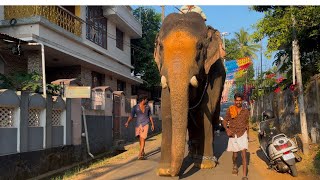 പുതിയ കൂട്ടുകെട്ടുമായി ഇന്ന് പൊങ്ങണംകാട് കാർത്തികക്ക് എത്തിയ ഉട്ടോളി അനന്തൻ 🔥#uttolyananthan