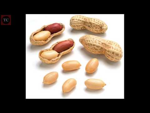 வேர்கடலை சாப்பிட்டால் இதய நோய் வருமா Groundnut Best for Heart Health வேர்கடலை சாப்பிட்டால் இதய நோய் வருமா Groundnut Best for Heart Health