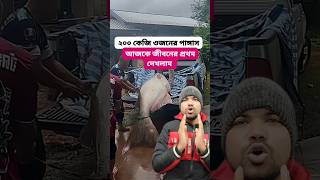 ২০০ কেজি ওজনের মাছ আজকেই প্রথম দেখলাম #viralreels #fbreels #reelsvideo