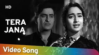 Tera Jana Dil | Raj Kapoor | Nutan | Anari | Lata Mangeshkar | Evergreen Hindi Songs
