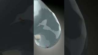 Arthritis #3D_animation_arthritis #shorts