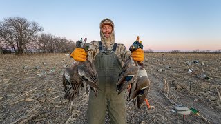 Hunting 1000's of Ducks in The Field Mallards and Wigeon Galore!!