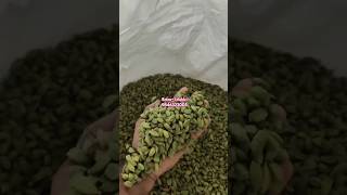 8mm Cardamom available in Idukki at wholesale rates. Sourced from farmers. #wholesale