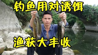 钓鱼只要用对诱饵，渔获自然大丰收，条条都是值钱货【壮乡小莫】