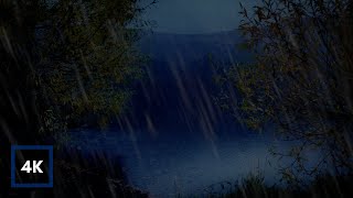 Evening Rain on a Lake | Rain Sounds on Leaves with Dark Screen for Deep Sleep, Relaxing, Study