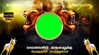 காளைகளின் காதலனுக்கு Birthday Greenscreen video template🔥Jallikattu status ⚔️ Birthday status Tamil👑