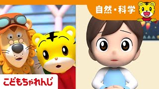 たべたものは どこに いくの？│ 4・5歳向け 〈すてっぷ〉│冬のたいけん映像【しまじろう公式チャンネル】