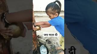 जय माता दी #viral #trending #shorts#video #instagram #reels #like #subscribe kare #song #cg #childre