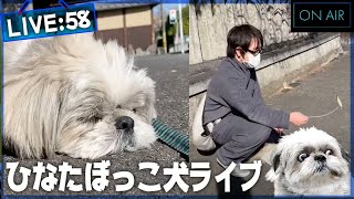 ライブ58.ひなたぼっこ犬 2021/03/11