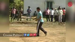 మంత్రి లోకేష్ క్రికెట్ ఆడటం చుడండి  | Nara Lokesh Playing Cricket | Cinema Politics