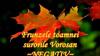 #negativecrestine Surorile Vorosan - Frunzele toamnei - NEGATIV