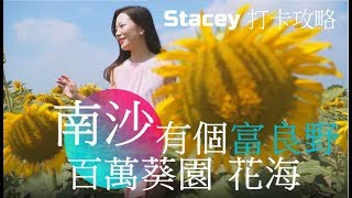 南沙 向日葵園 花海 Epi.1 | 百萬葵園 | 英倫玫瑰園 | 花之戀酒店 | WAW Creation - [Stacey 打卡攻略]