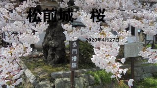 DIY車中泊車NV350で北海道ドライブ＆旅先紹介動画　松前城の桜