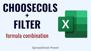 CHOOSECOLS and FILTER Formula Combination in Excel