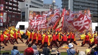 肥後真舞狗〜九州がっ祭〔黒崎よさこい祭り2023〕