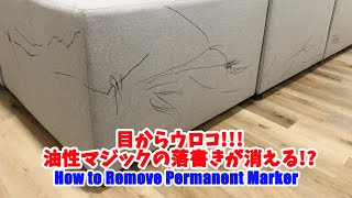 ソファーに油性マジックで落書き！無事に落とせるのか!? How to Remove Permanent Marker with Just One Thing!