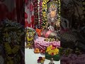 shakambari navratri festival 2021 ashta ambabai tample