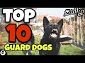 Top 10 சிறந்த காவல் நாய்கள் | best guard dogs | canine empire