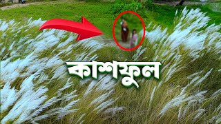 কাশফুল দেখতে আসছিলাম - See the beautiful view from a bird's eye view | 4k Video