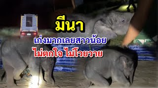 น้องมีนา เดินสำรวจศูนย์ฯครั้งแรก เมื่อไปถึงกระบกคู่