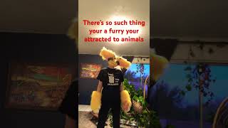 Noo 😭#furry #therian #cosplay #costume #dinomask #fursuit #shorts #fyp #viralvideo