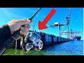 I DROPPED IT! | Fishing Port of Brisbane