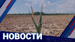 Новости 16.08.2023