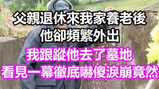 父親退休來我家養老後，他卻頻繁外出，我跟蹤他去了墓地，看見一幕徹底嚇傻淚崩，竟然...#淺談人生#民間故事#孝顺#儿女#讀書#養生#深夜淺讀#情感故事#房产#晚年哲理#中老年心語#養老#真實故事