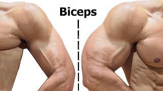 Biceps will grow fast after doing these strong exercises - biceps workout