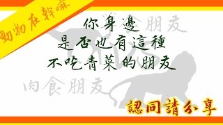 （ＣＣ字幕）動物地球頻道│【動物在幹嘛】肉食朋友VS草食朋友 你身邊也有這種不吃青菜的朋友嗎？What does the ANIMAL say