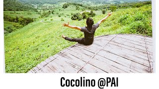 Cocolino @ PAI